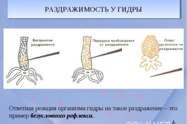 Кракен что это магазин