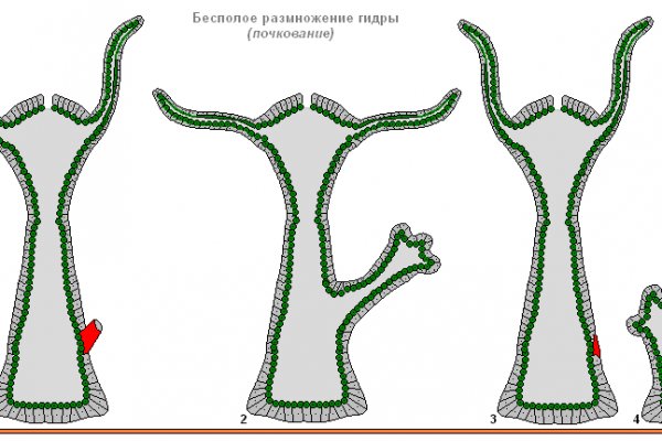 Kraken darknet зеркала