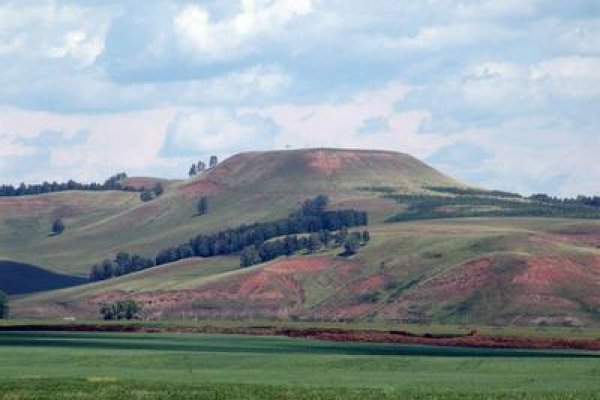 Кракен ссылка зеркало